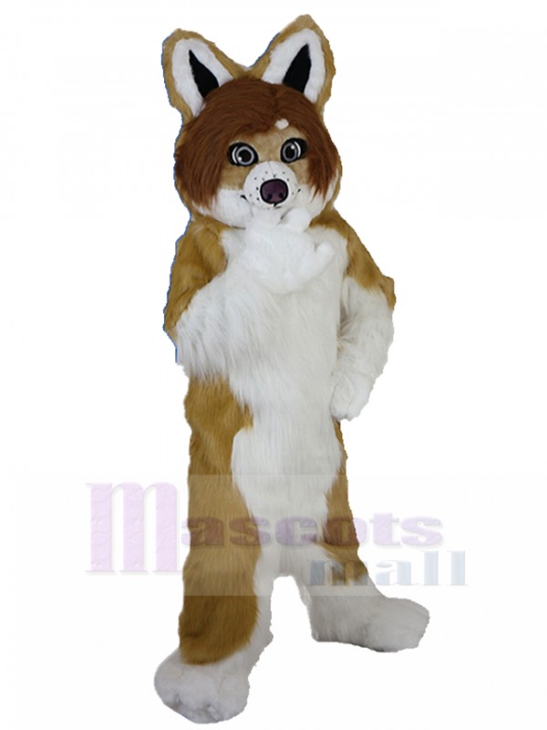 Dog mascot costume