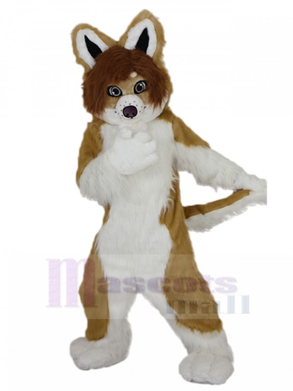 Dog mascot costume