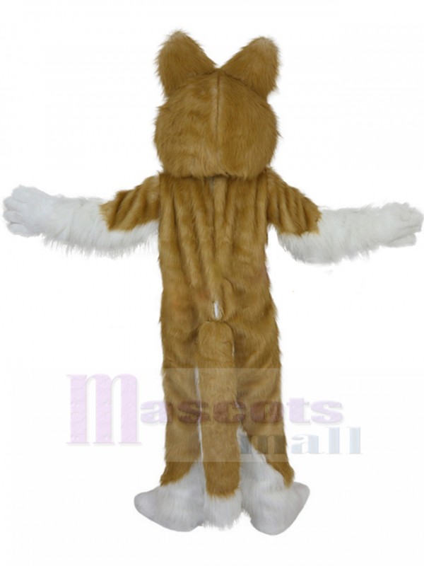 Dog mascot costume