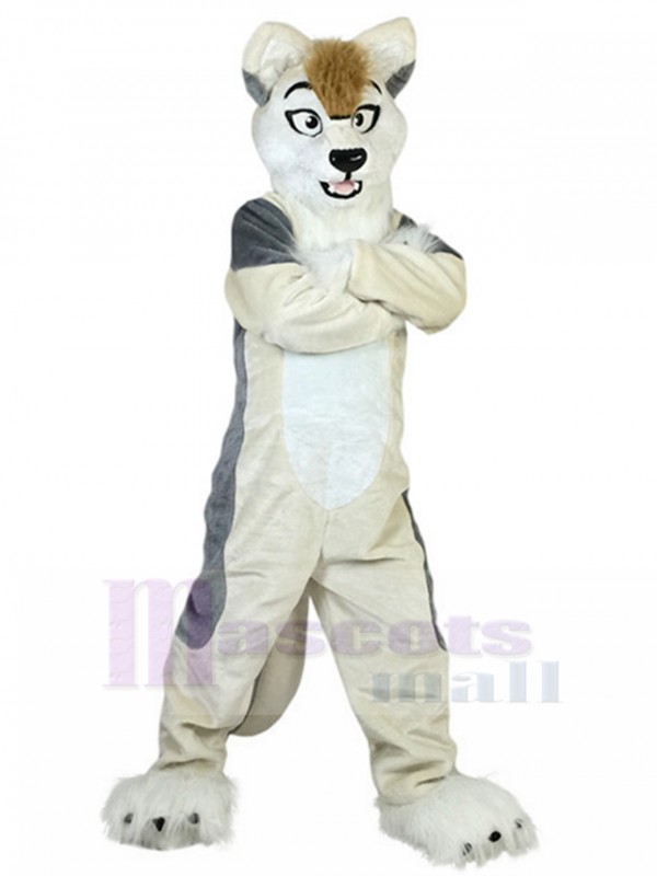 Dog mascot costume
