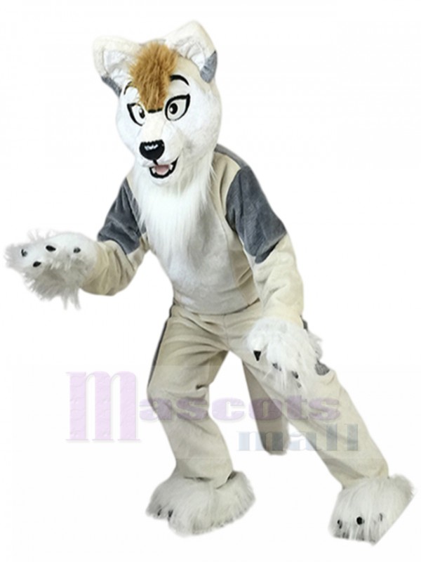 Dog mascot costume