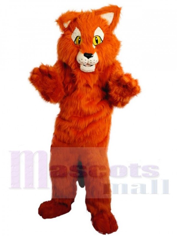 Tiger mascot costume