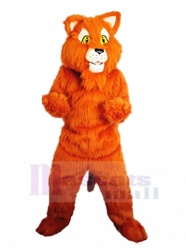 Tiger mascot costume