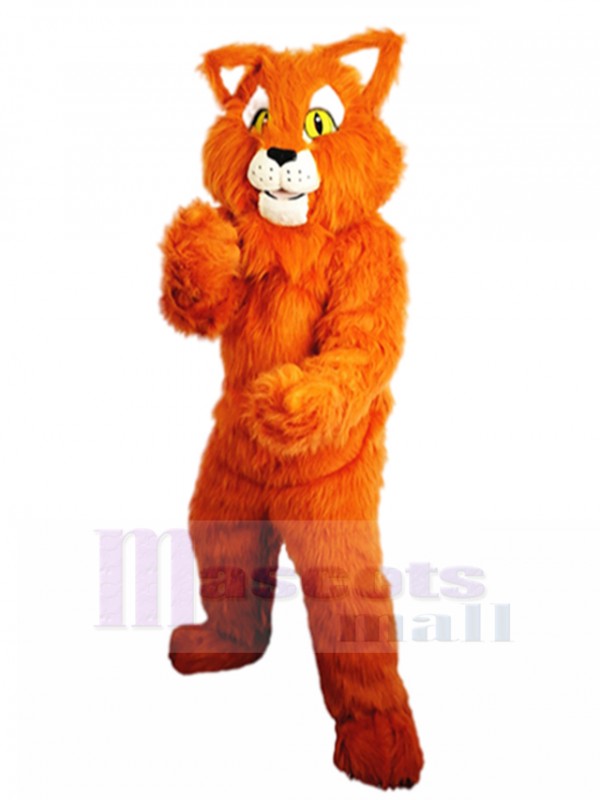 Tiger mascot costume