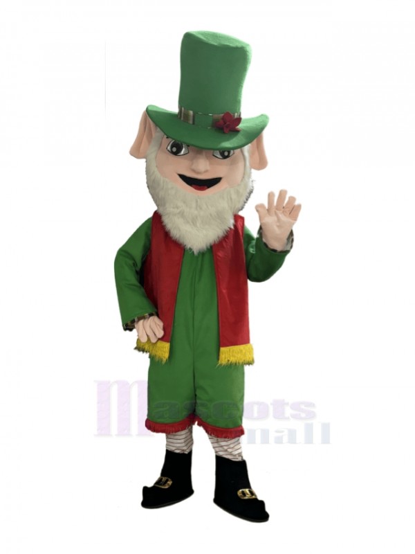 Elf Leprechaun mascot costume