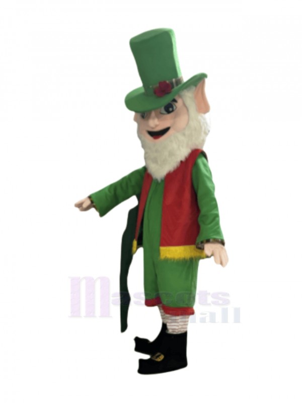 Elf Leprechaun mascot costume