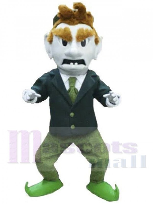 Leprechaun mascot costume