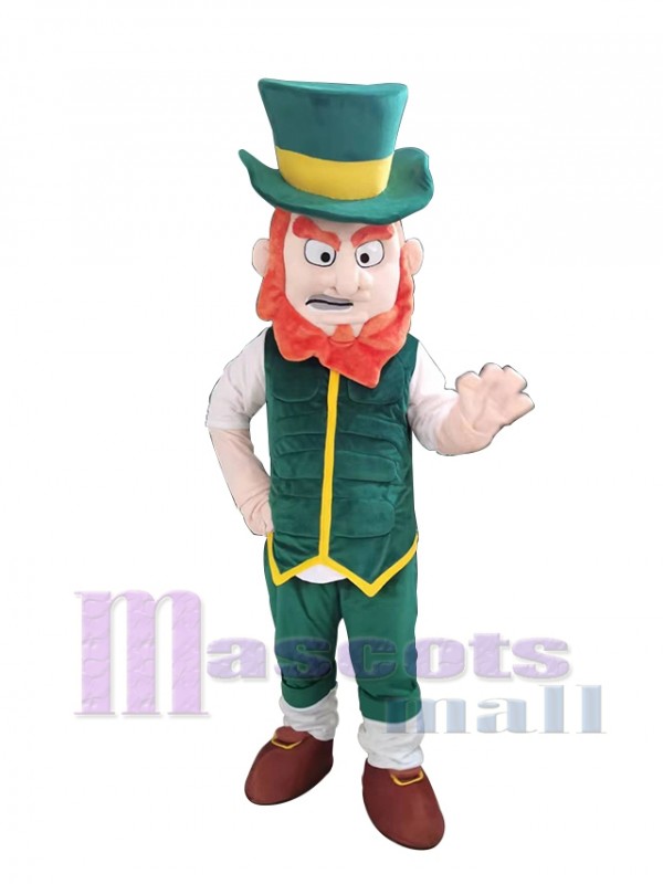 Elfe Boy mascot costume