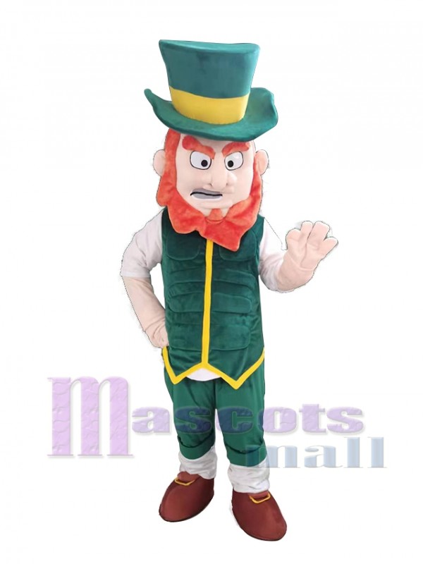 Elfe Boy mascot costume