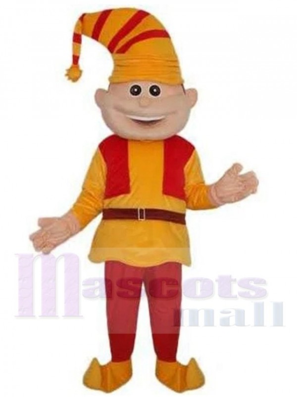 Elf mascot costume