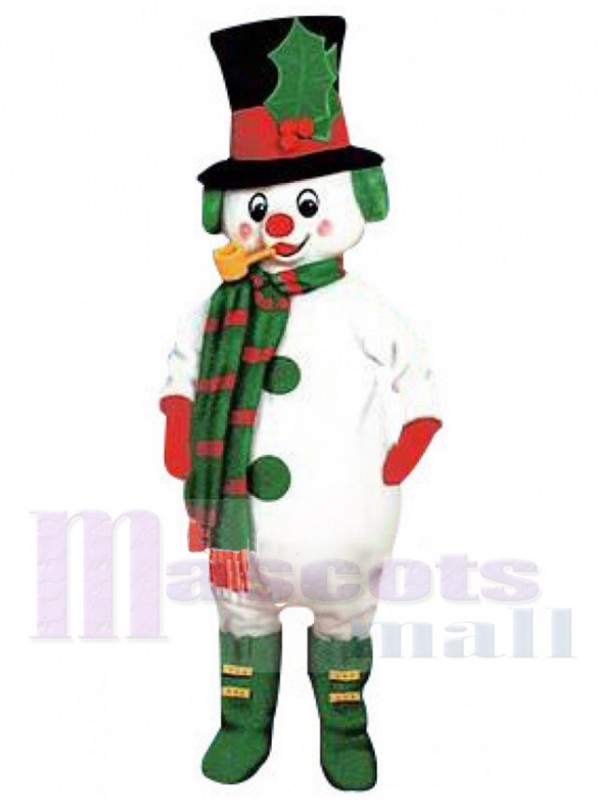 Elf mascot costume