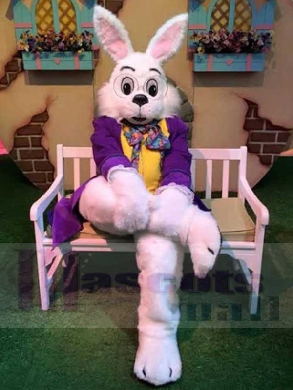 Wendell Rabbit mascot costume