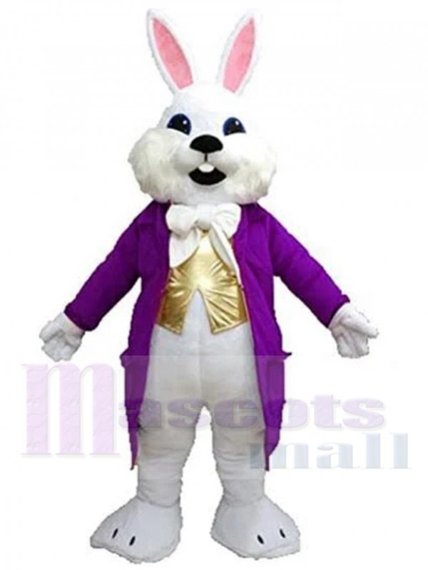 Easter Bunny mascot costume