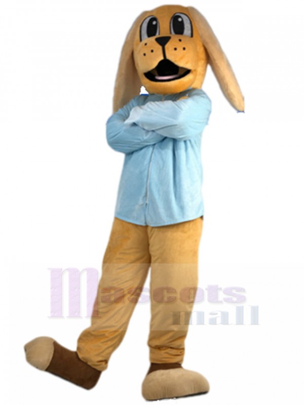 Dog mascot costume