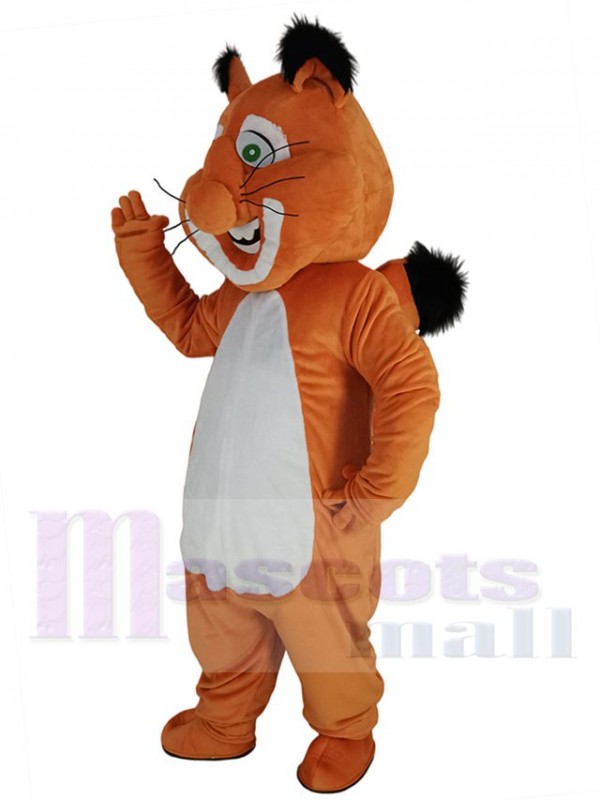 Squirrel mascot costume
