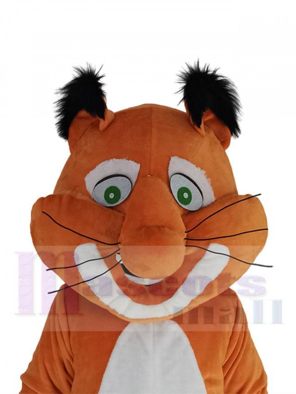 Squirrel mascot costume