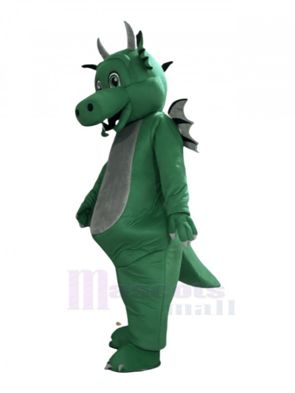 Dragon mascot costume