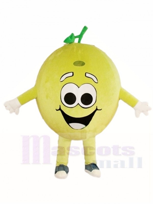 Happy Lemon Lime Mascot Costumes Fruit Plant