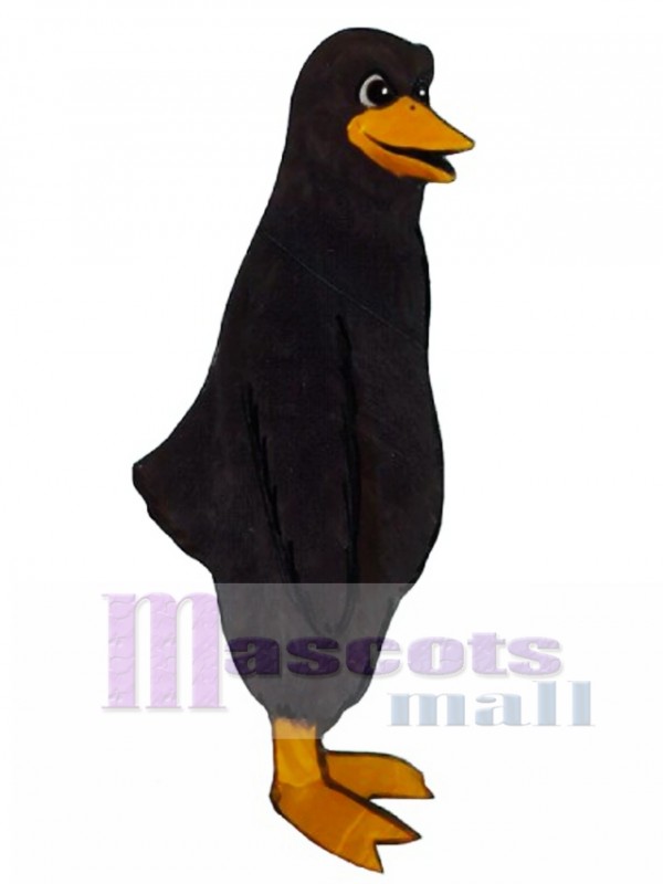 Cute Blackbird Mascot Costume