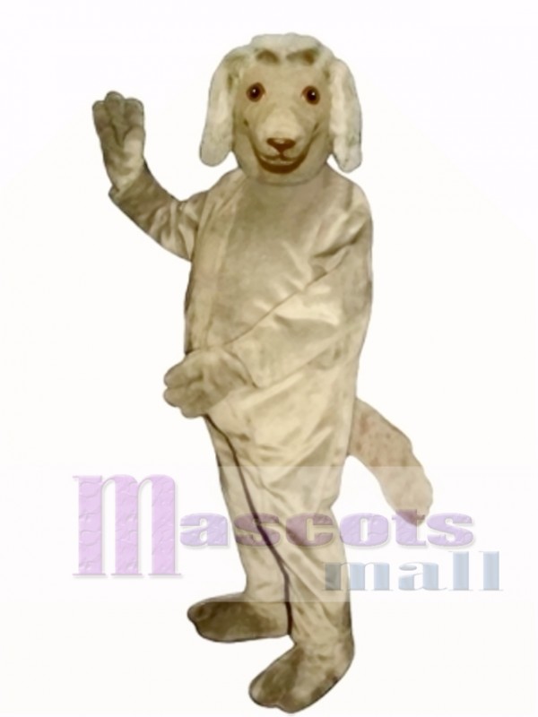 Cute Afghan Dog Mascot Costume