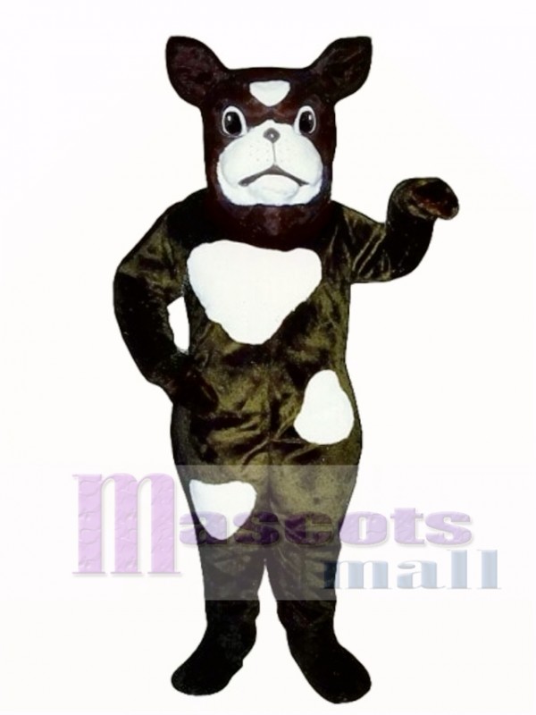 Cute Boxer Dog Mascot Costume
