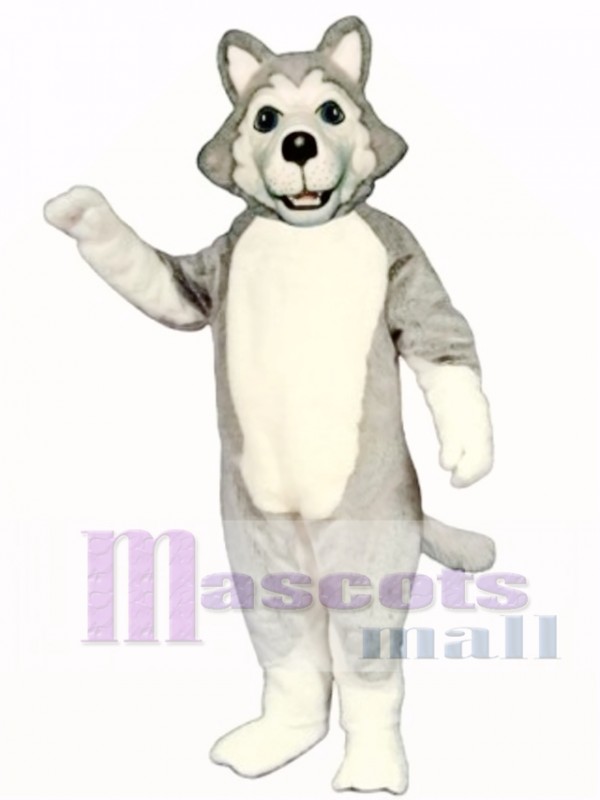 Cute Wolf Dog Mascot Costume