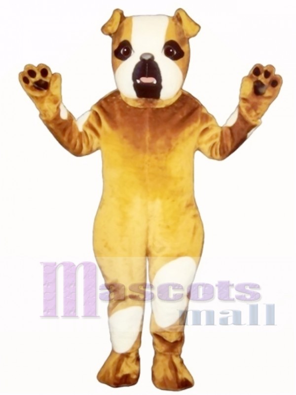 Cute Pug Dog Mascot Costume