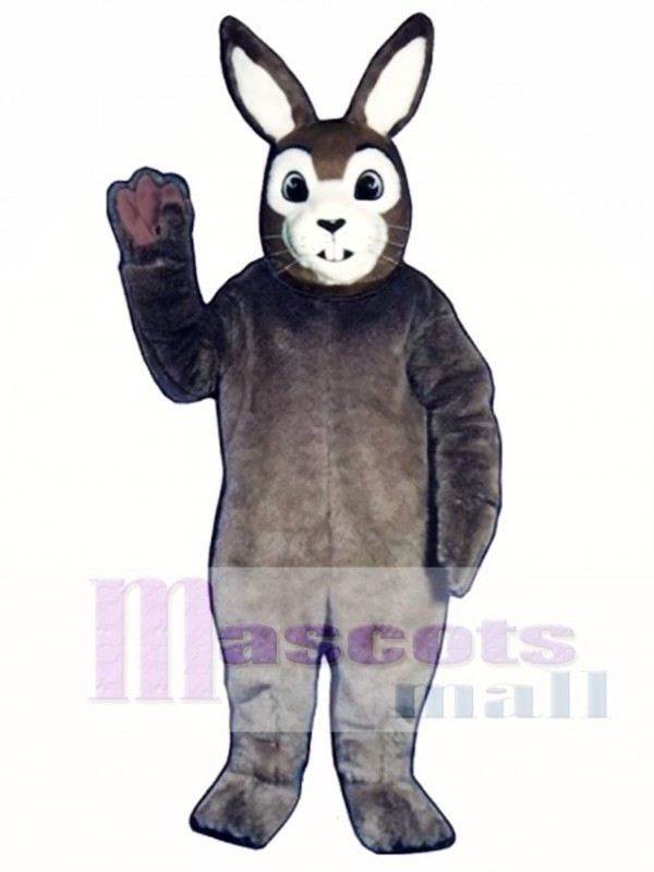 Easter J.R. Bunny Rabbit Mascot Costume