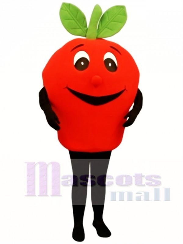 Big Apple Mascot Costume