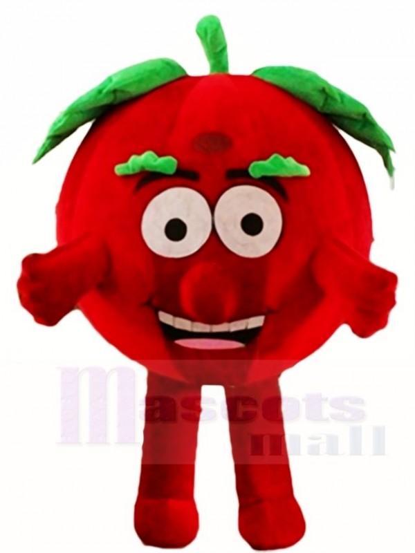 Happy Tomato Mascot Costumes Plant 