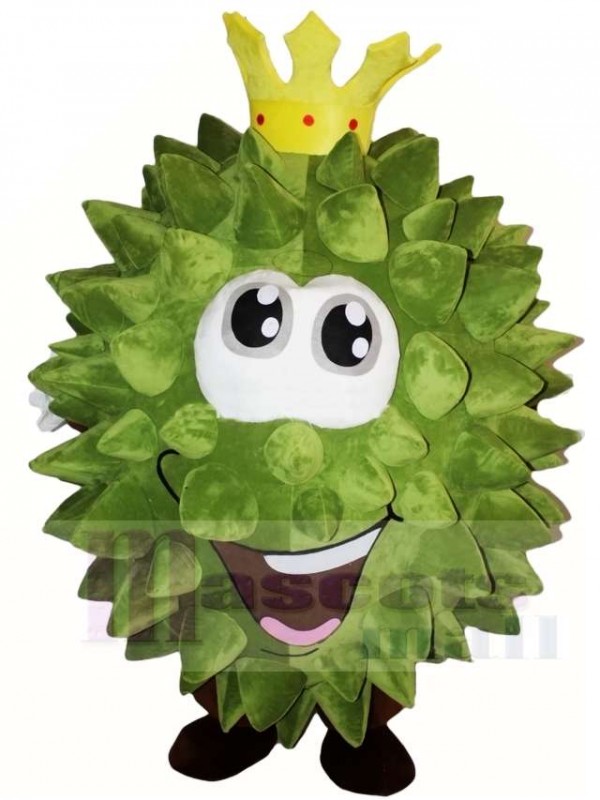 Musang King Durian Mascot Costumes Fruit