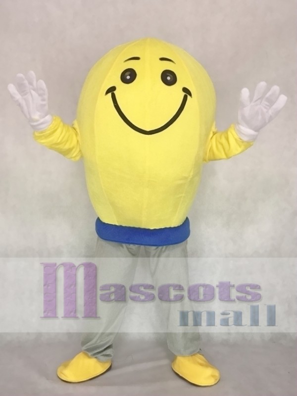 Cute Light Bulb Mascot Adult Costume