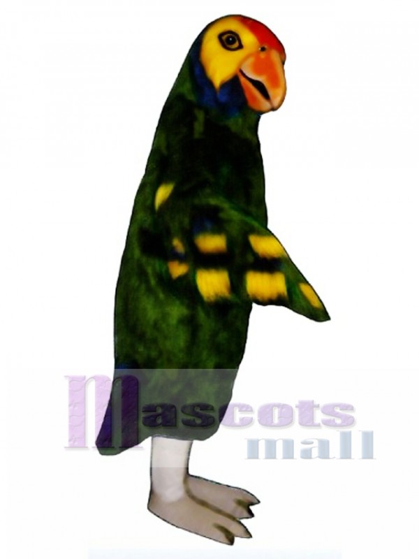 Cute Parrot Mascot Costume