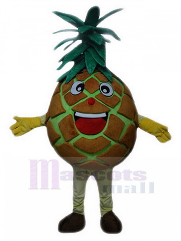 Pineapple mascot costume