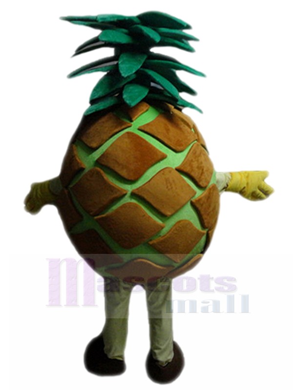 Pineapple mascot costume