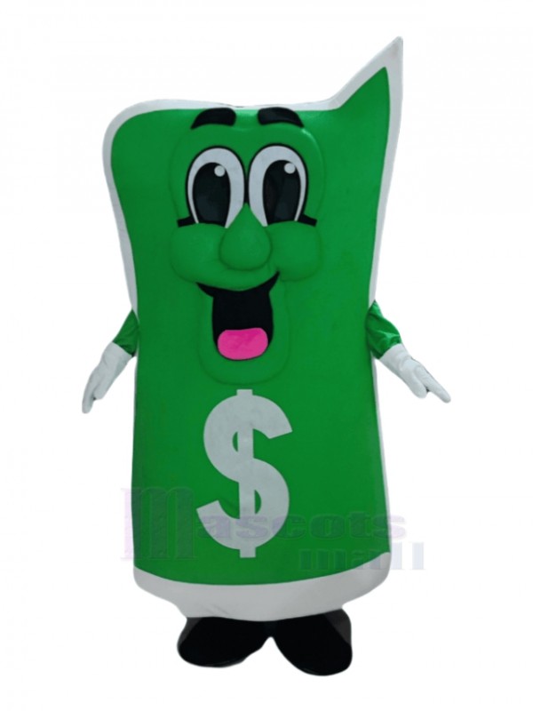 Dollar mascot costume