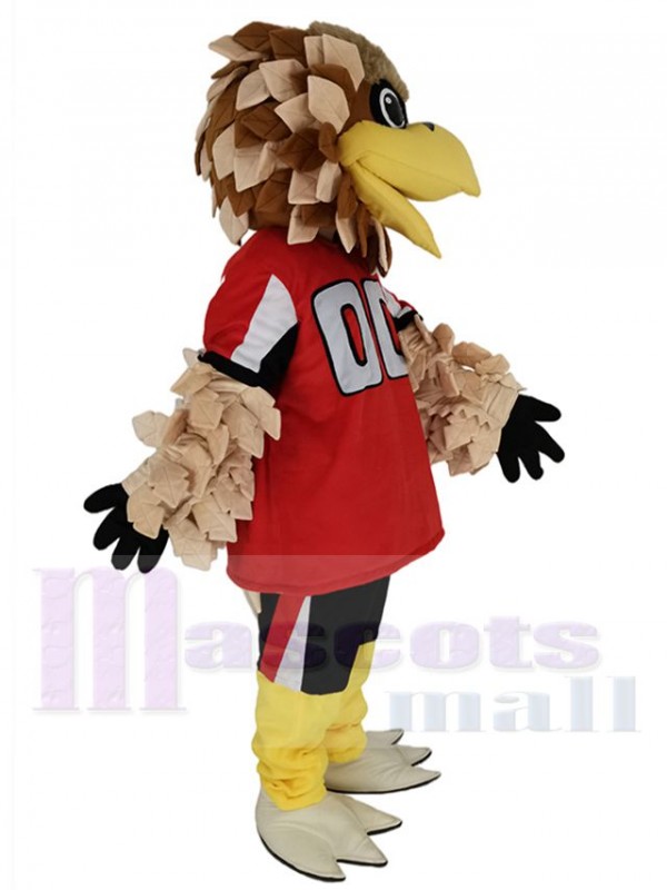 Falcon mascot costume
