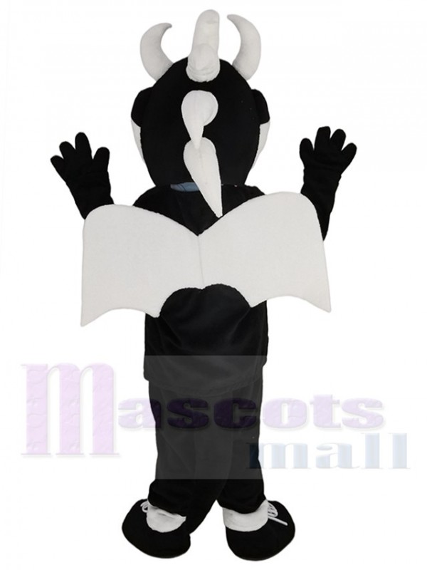 Dragon mascot costume