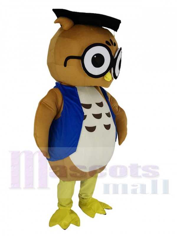 Owl mascot costume