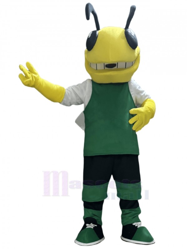 Hornet mascot costume