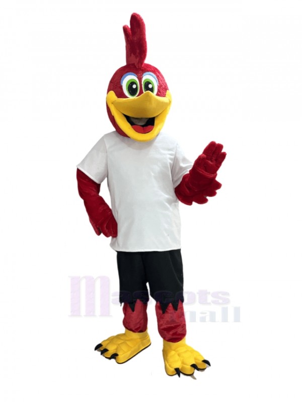 Roadrunner Bird mascot costume
