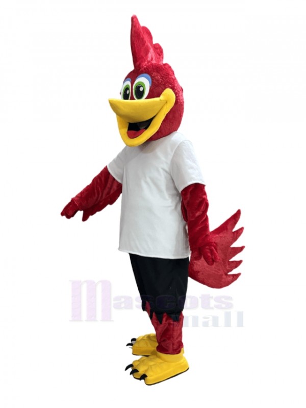 Roadrunner Bird mascot costume