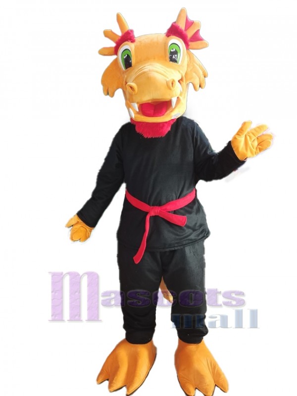 Dragon mascot costume