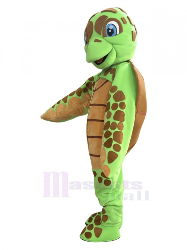 Turtle mascot costume