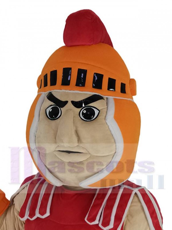 Knight mascot costume