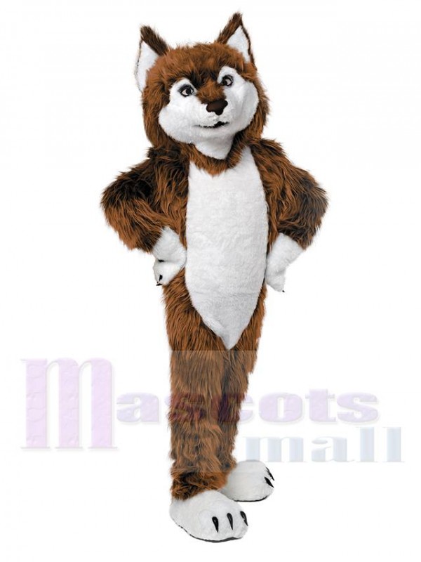 Wolf mascot costume