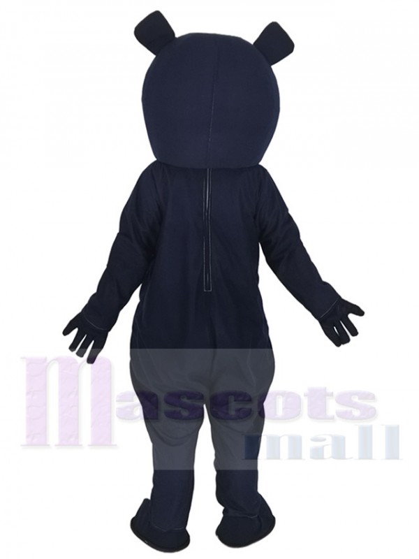 Bear mascot costume