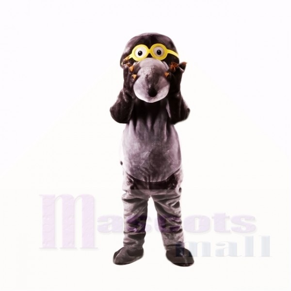 Gray Glasses Mole Mascot Costumes College