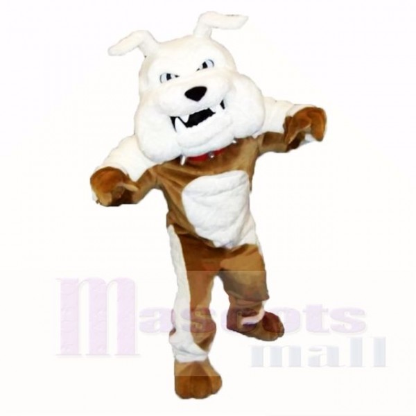 Greenstone Bulldog Mascot Costumes Adult