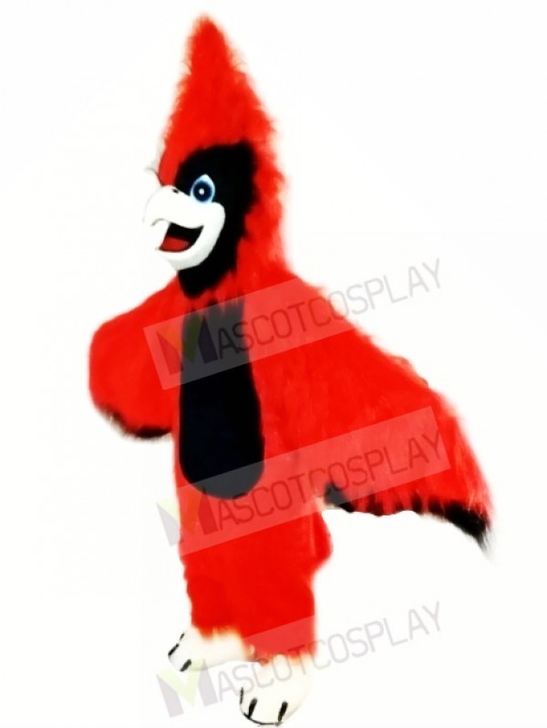 New Big Red Cardinal Mascot Costume